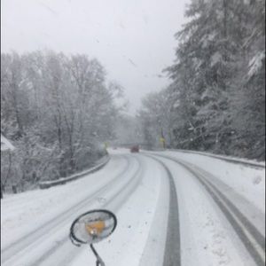 Meet your Posher, Donna